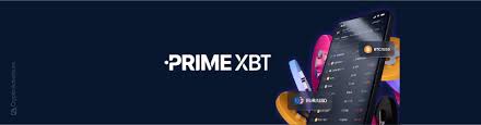 Discovering Trading Opportunities PrimeXBT Doge