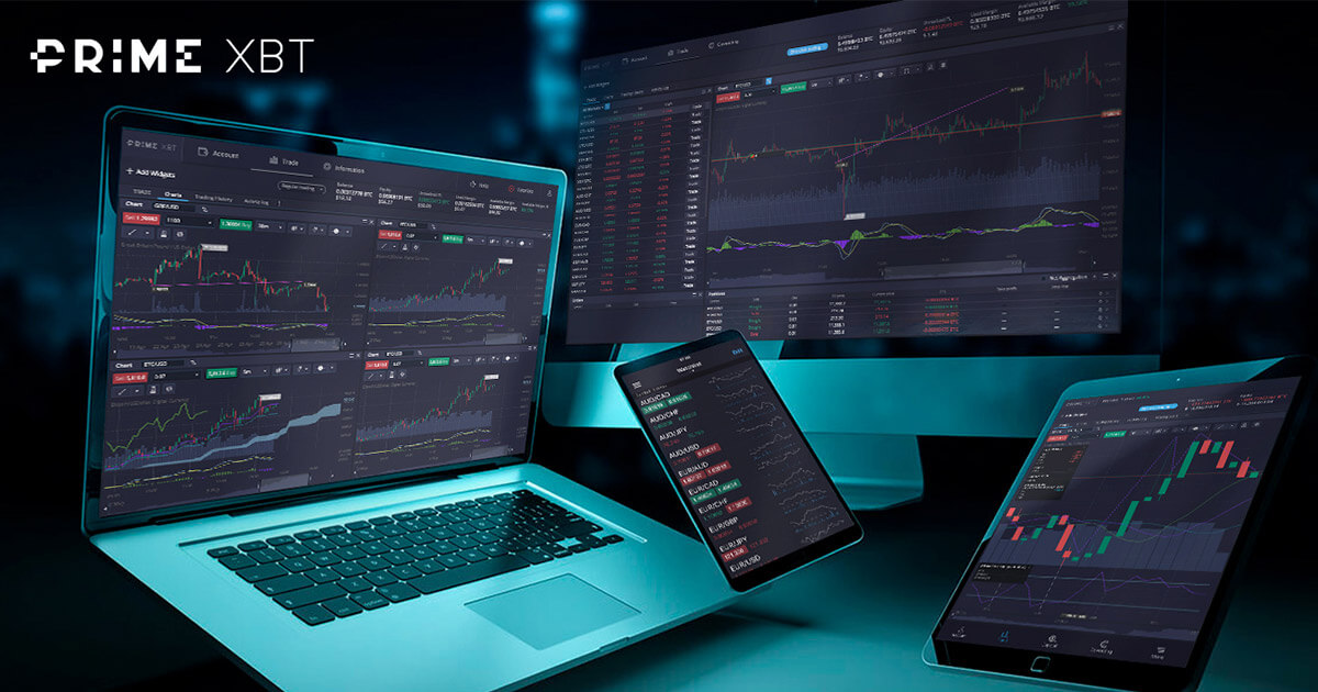 Discovering Trading Opportunities PrimeXBT Doge
