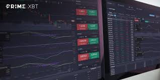 Discovering Trading Opportunities PrimeXBT Doge