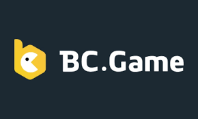 Discover the Excitement of Crypto Casino BC Game 29