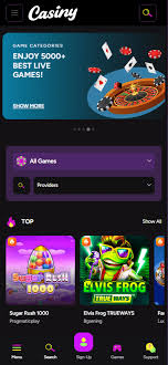 Exploring Casiny Media The Future of Online Gambling Exploring Casiny Media The Future of Online Gambling