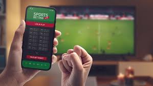 Understanding Gambling Laws on Online 3